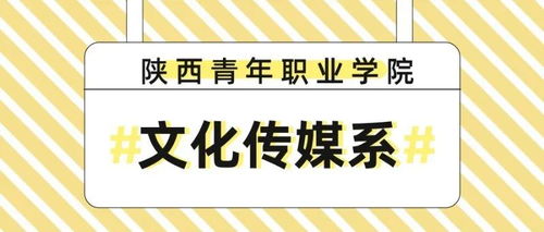 陕西青年职业学院 文化传媒系 文化载底蕴,传媒新视野