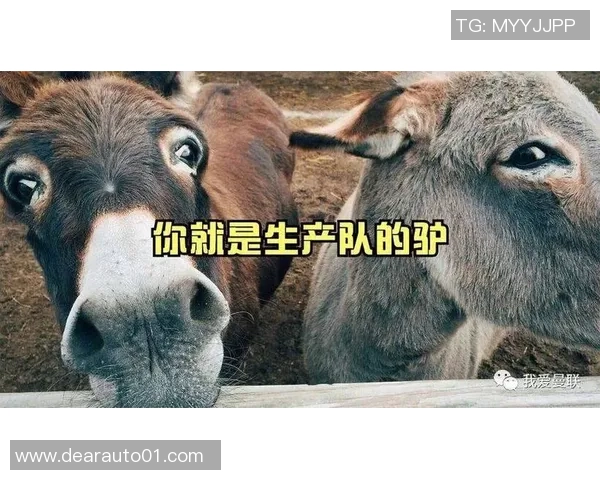 足球球星外号驴的由来与背后故事揭秘